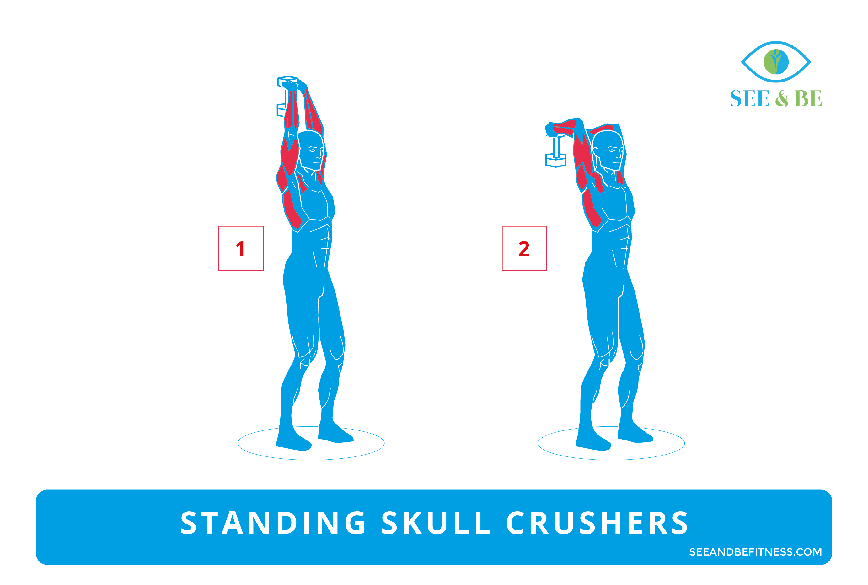 Skull best sale crusher workout